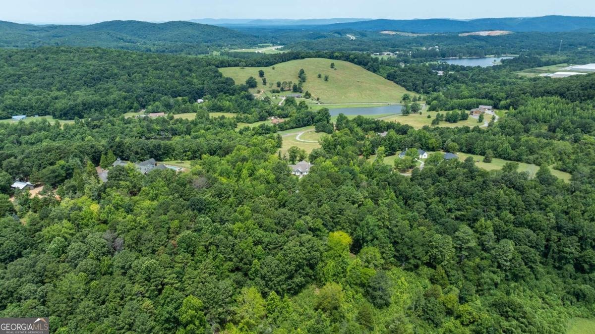 185 Marion Dairy Road Lindale - 37