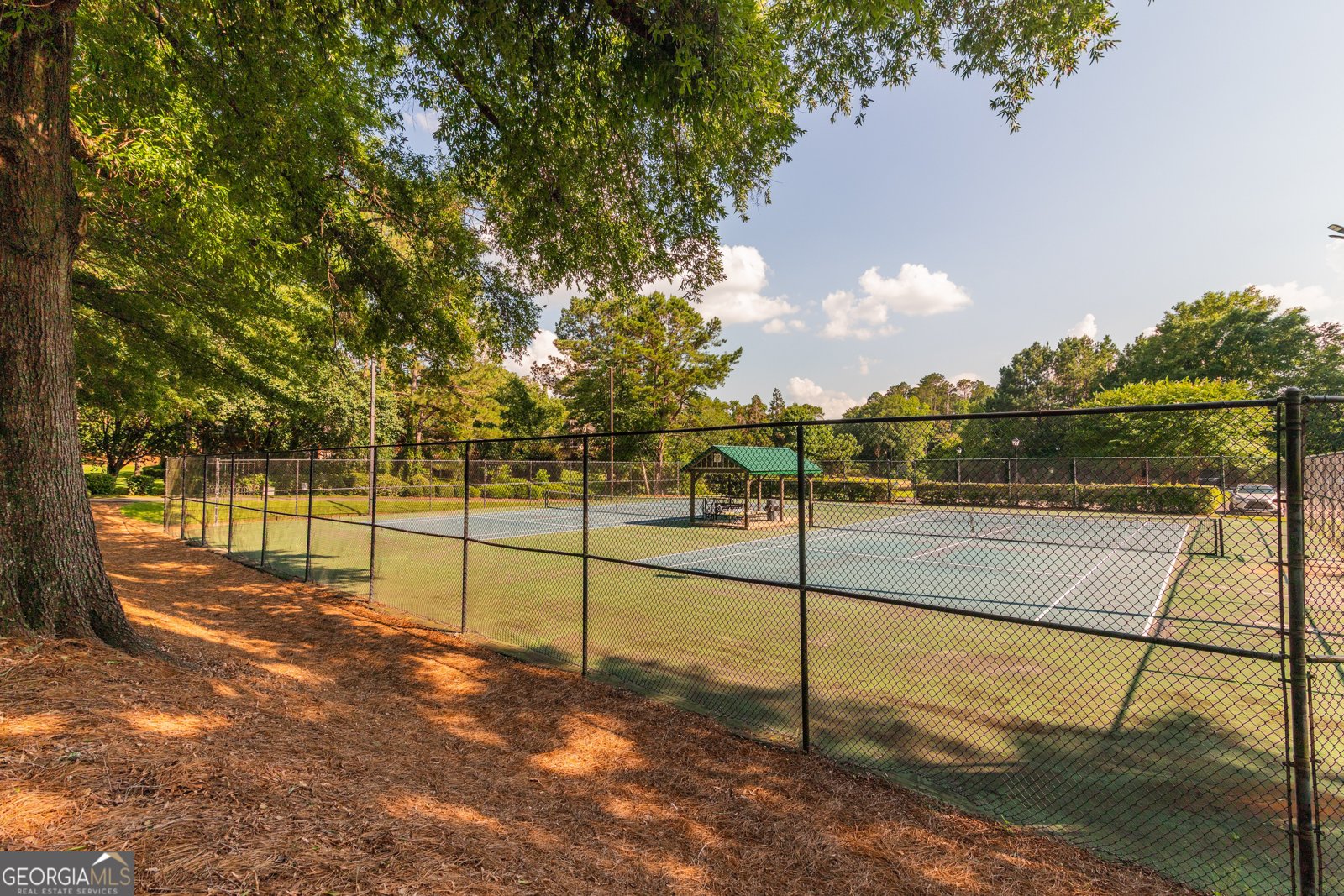451 Sweetwater Drive Cataula - 49