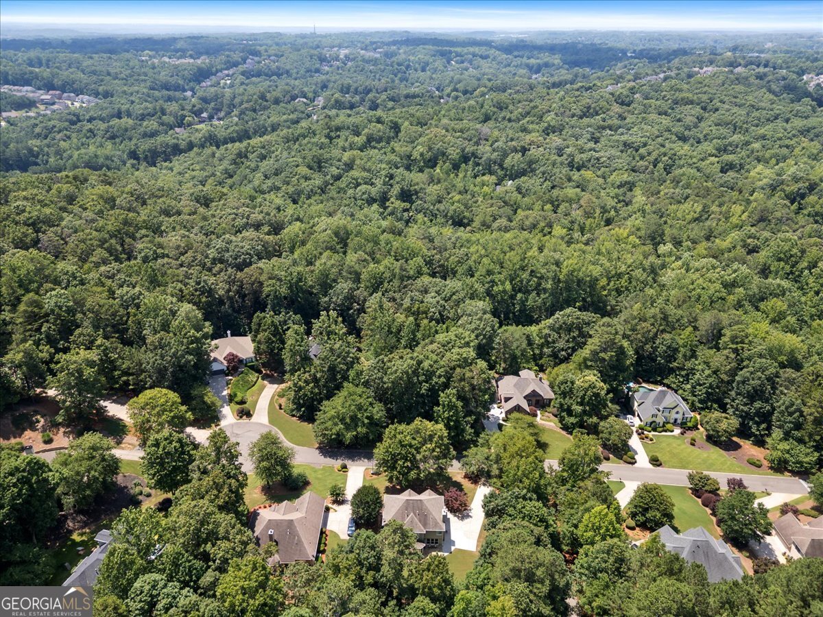 2715 Ivey Crossing Trail Cumming - 10