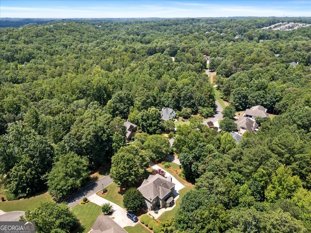 2715 Ivey Crossing Trail Cumming - 13