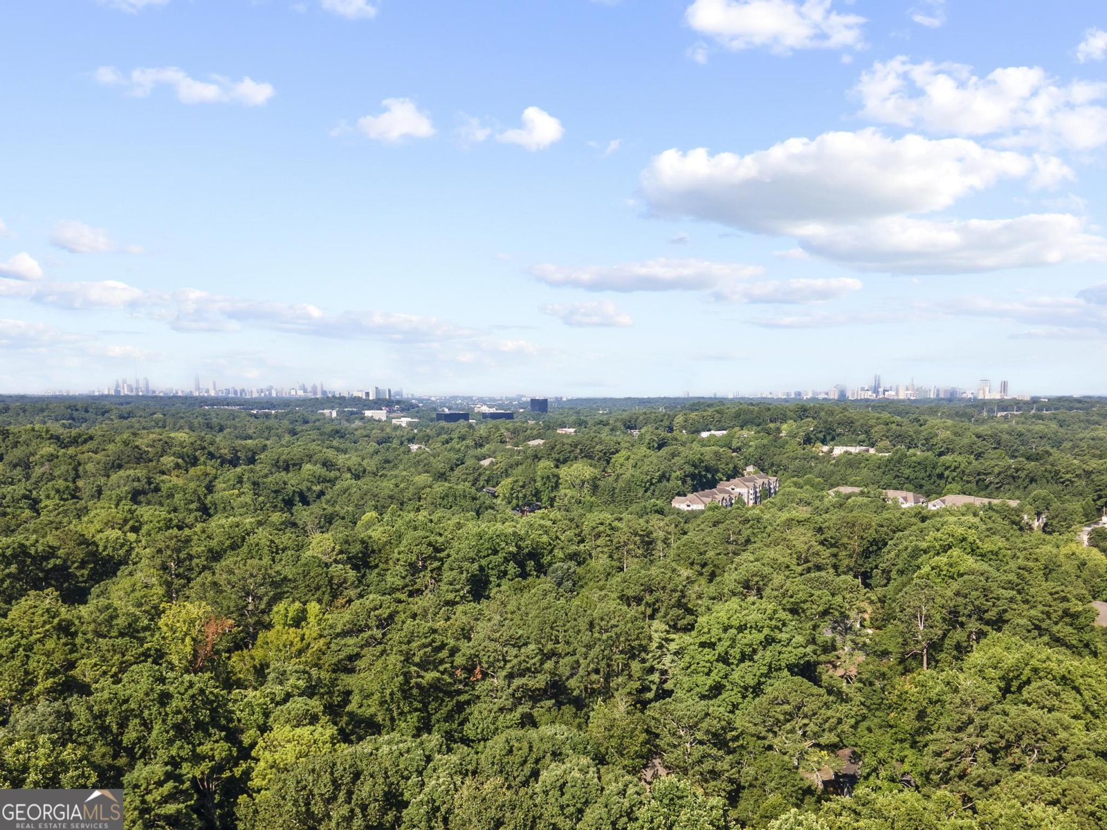 2485 Shallowford Road Atlanta - 29