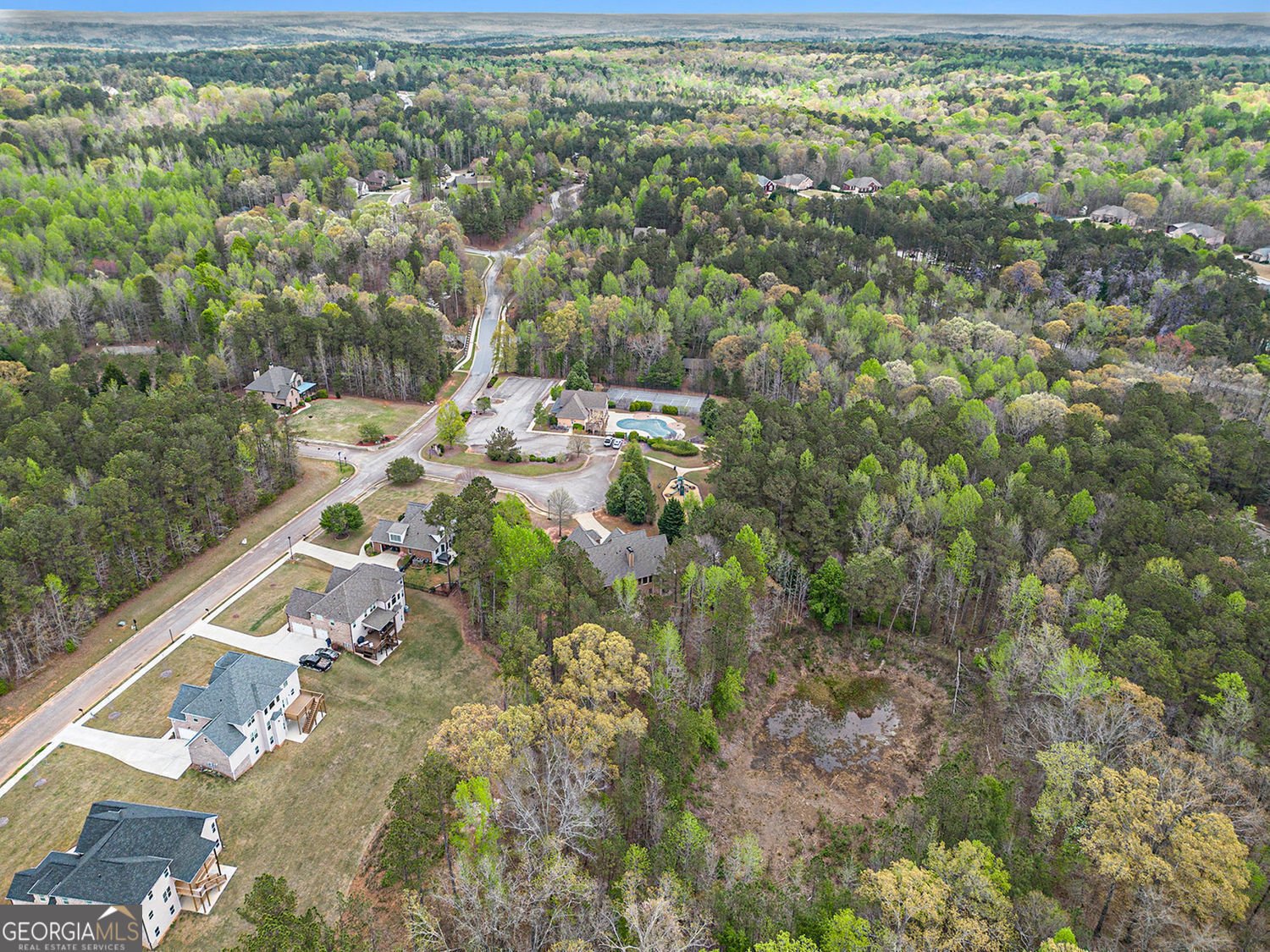 7497 Treehouse Court Douglasville - 44