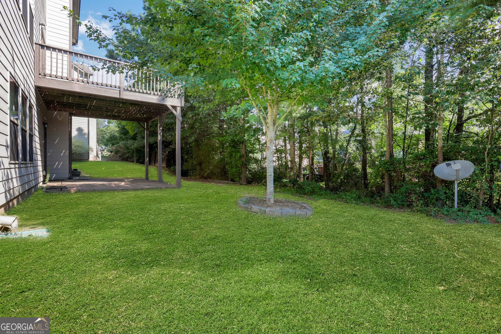 3519 Orchid Meadow Way Buford - 4