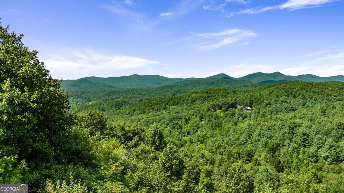 469 Mountain High Drive Mineral Bluff - 48