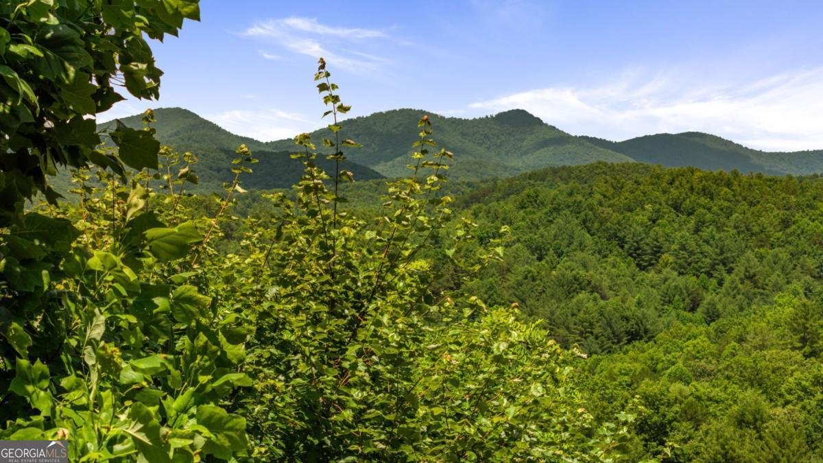 469 Mountain High Drive Mineral Bluff - 5
