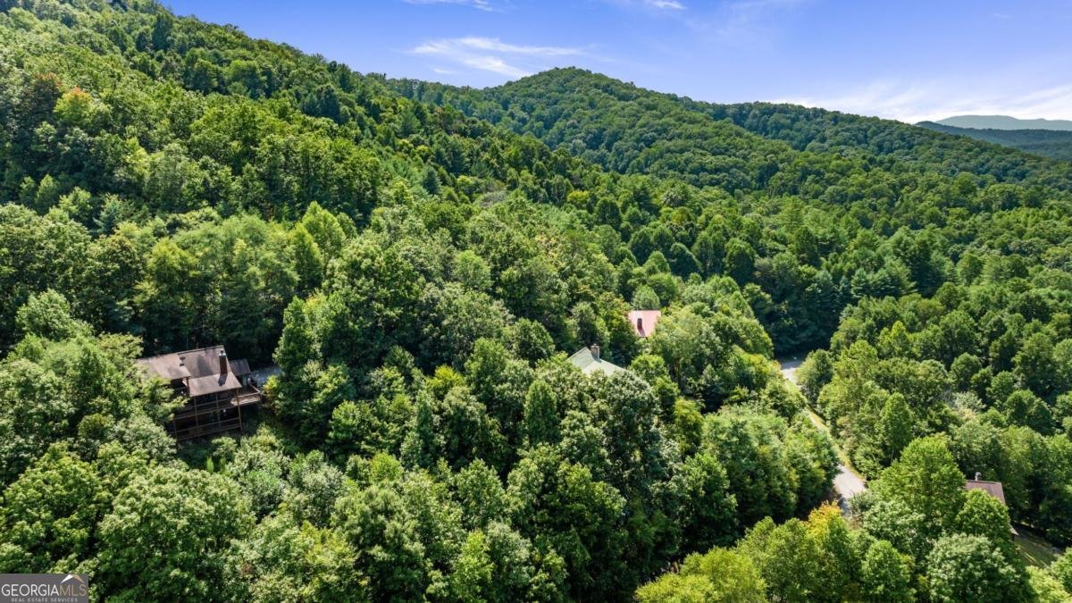 469 Mountain High Drive Mineral Bluff - 51