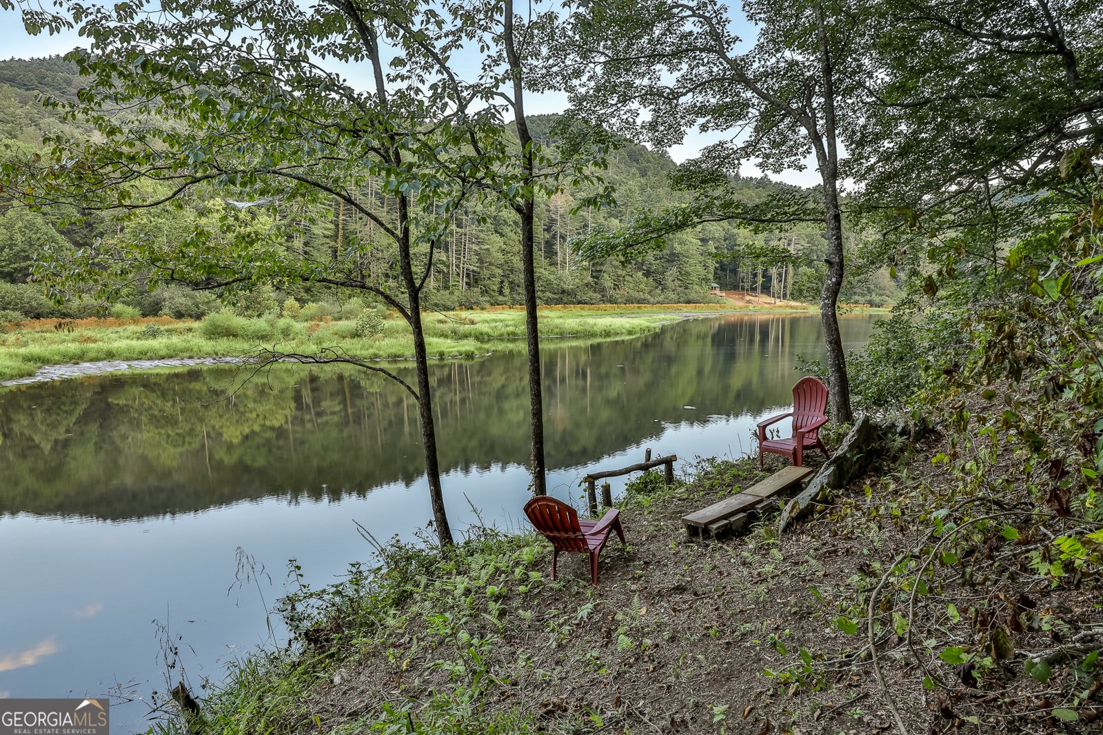 381 Cohutta Wilderness Trail Ellijay - 10