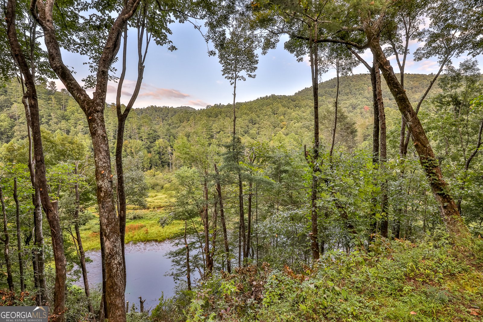 381 Cohutta Wilderness Trail Ellijay - 12