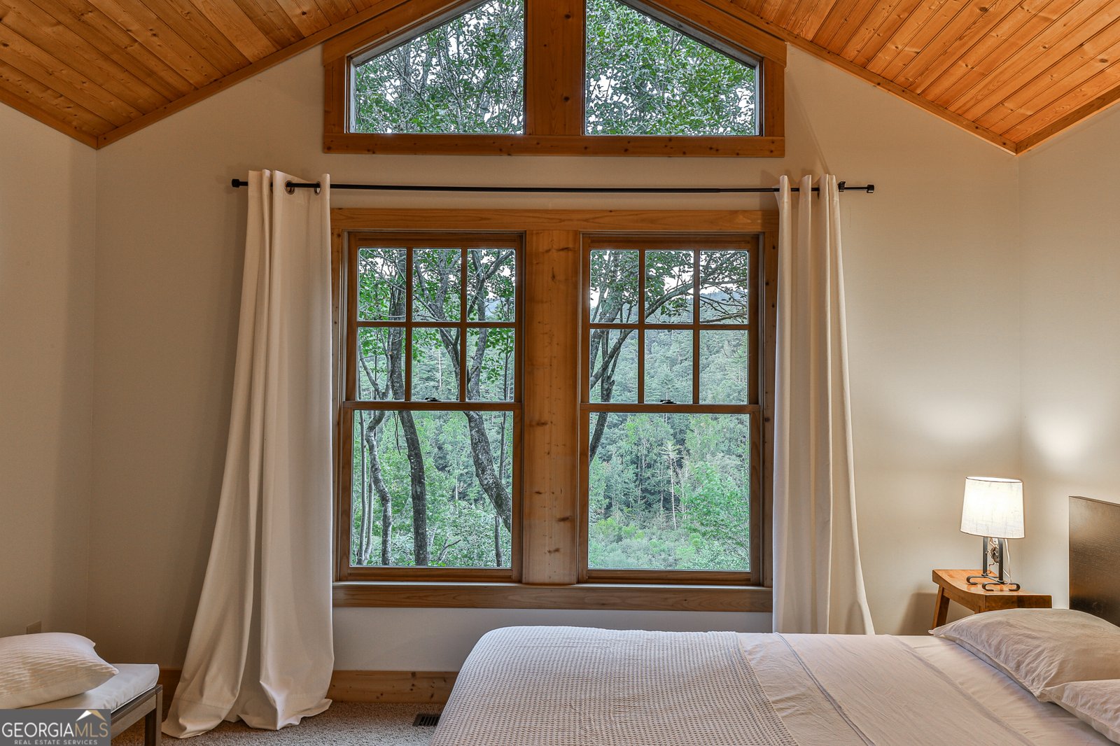 381 Cohutta Wilderness Trail Ellijay - 26