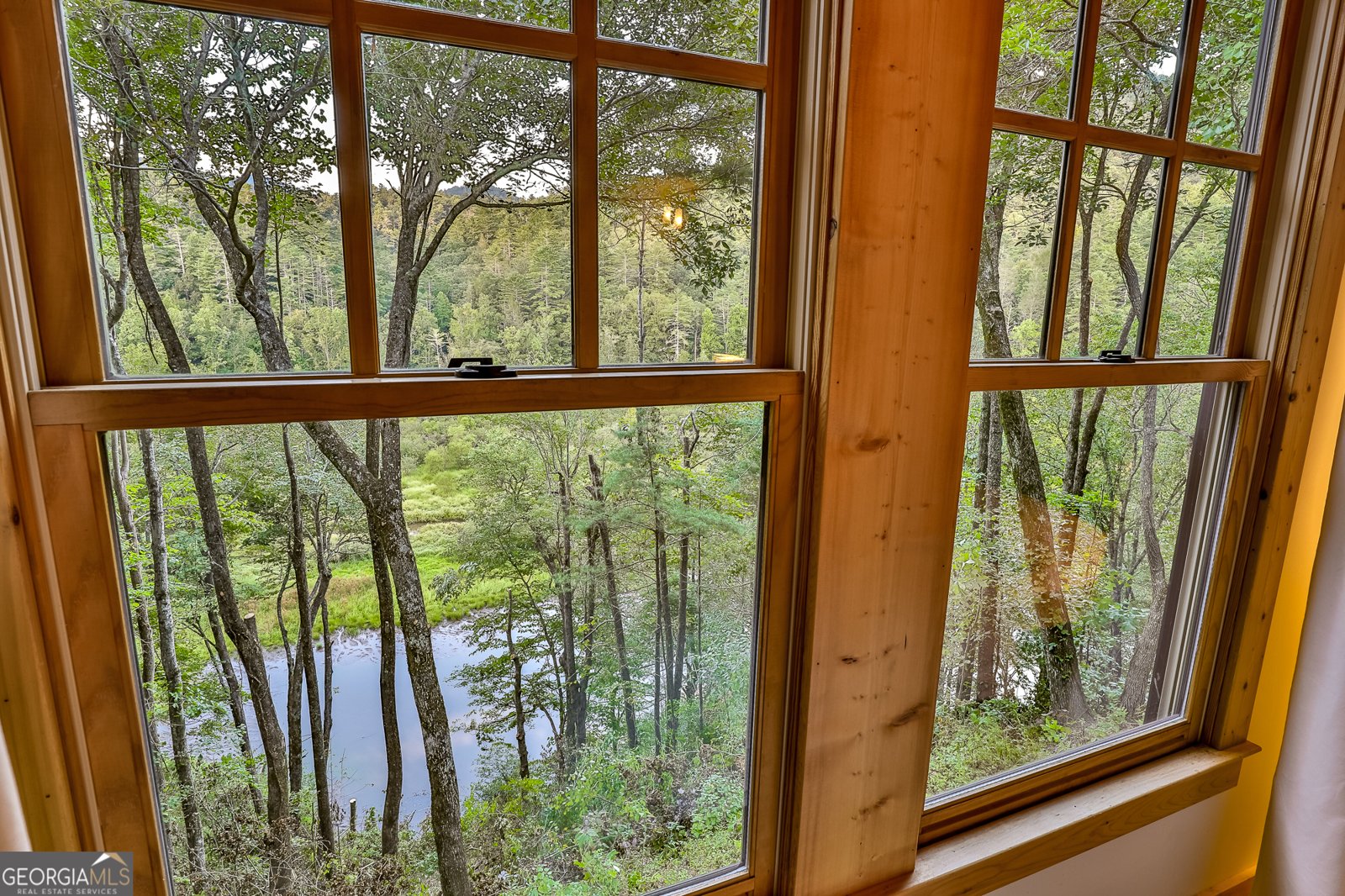 381 Cohutta Wilderness Trail Ellijay - 27