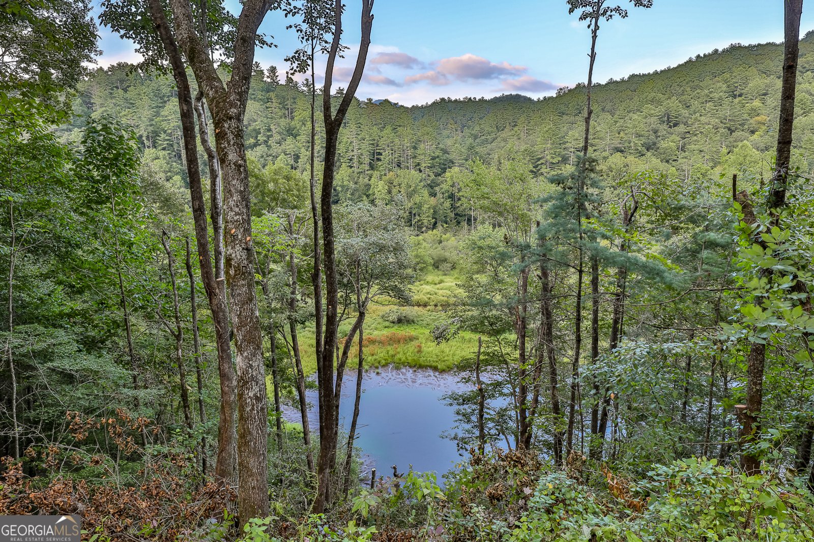 381 Cohutta Wilderness Trail Ellijay - 39