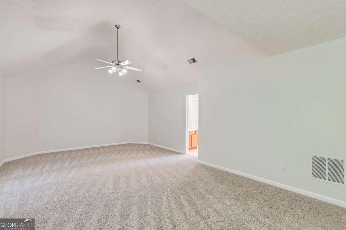1309 Lower Falls Drive Mcdonough - 17