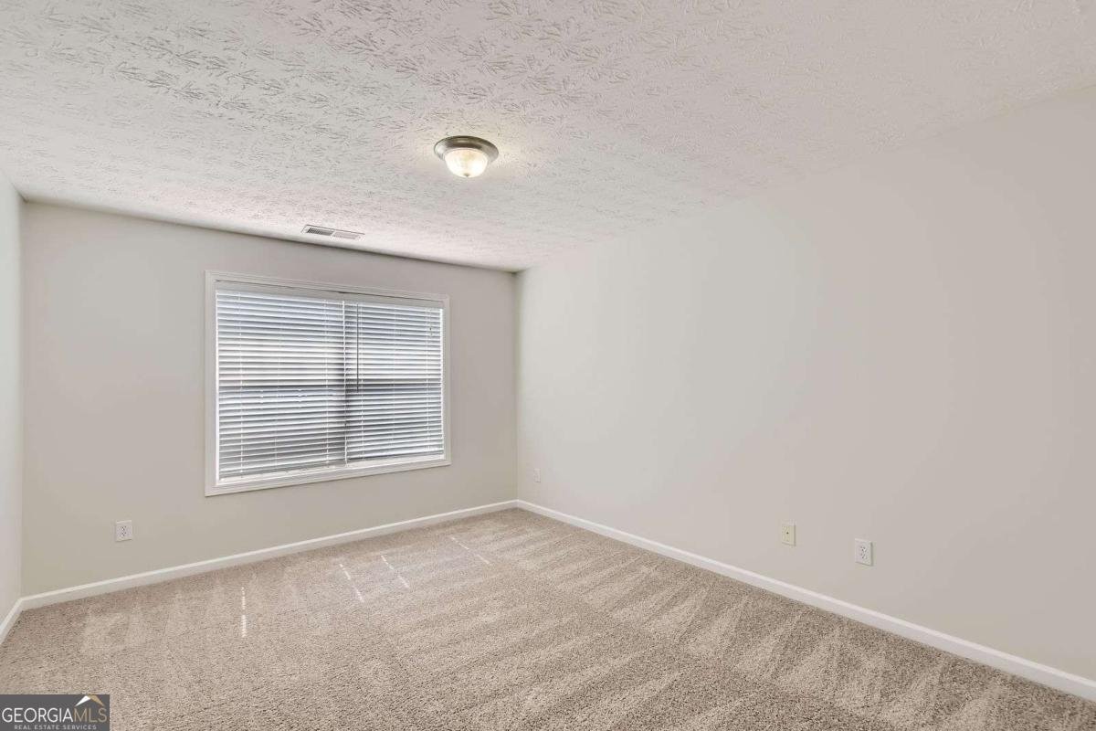 1309 Lower Falls Drive Mcdonough - 23