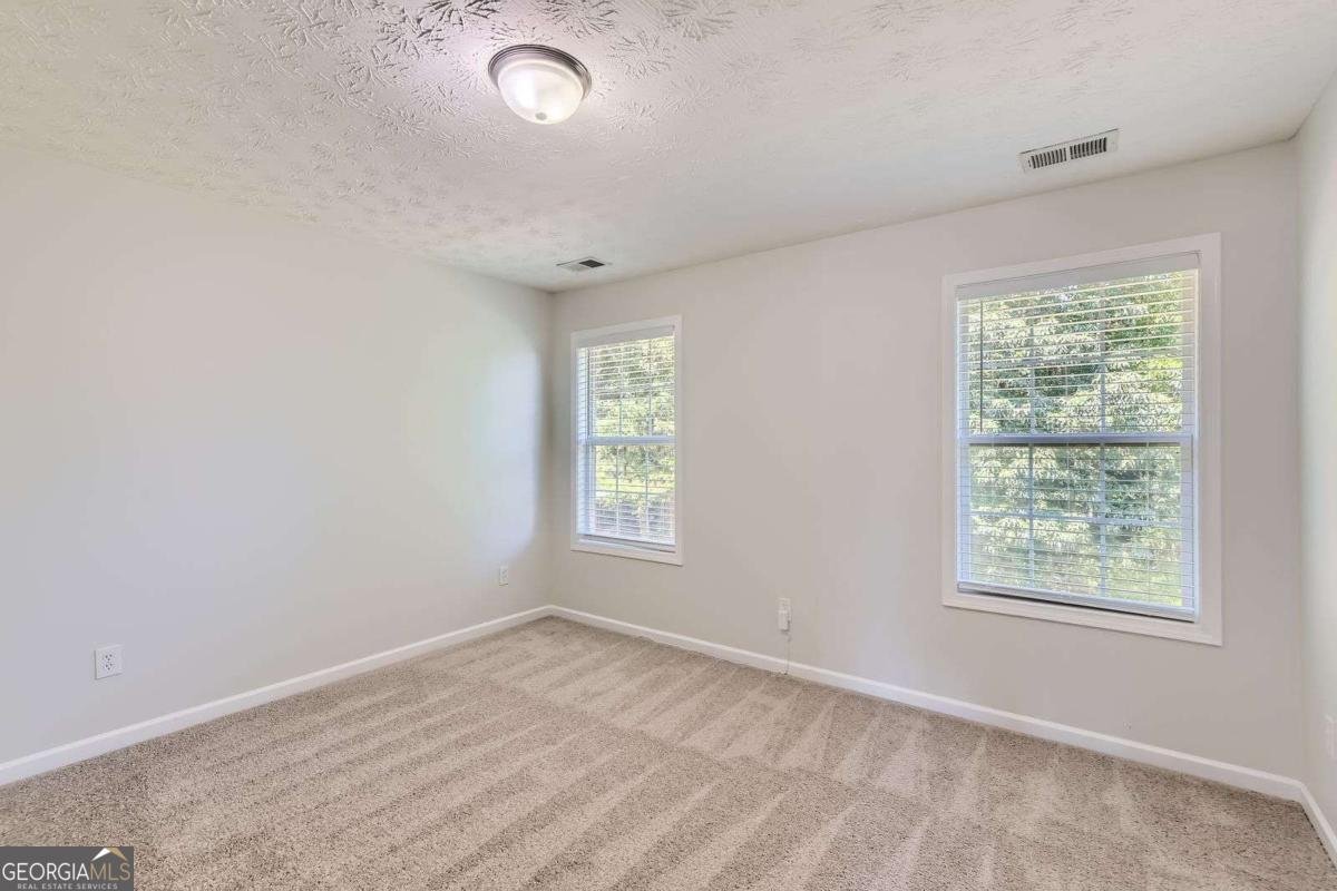 1309 Lower Falls Drive Mcdonough - 24