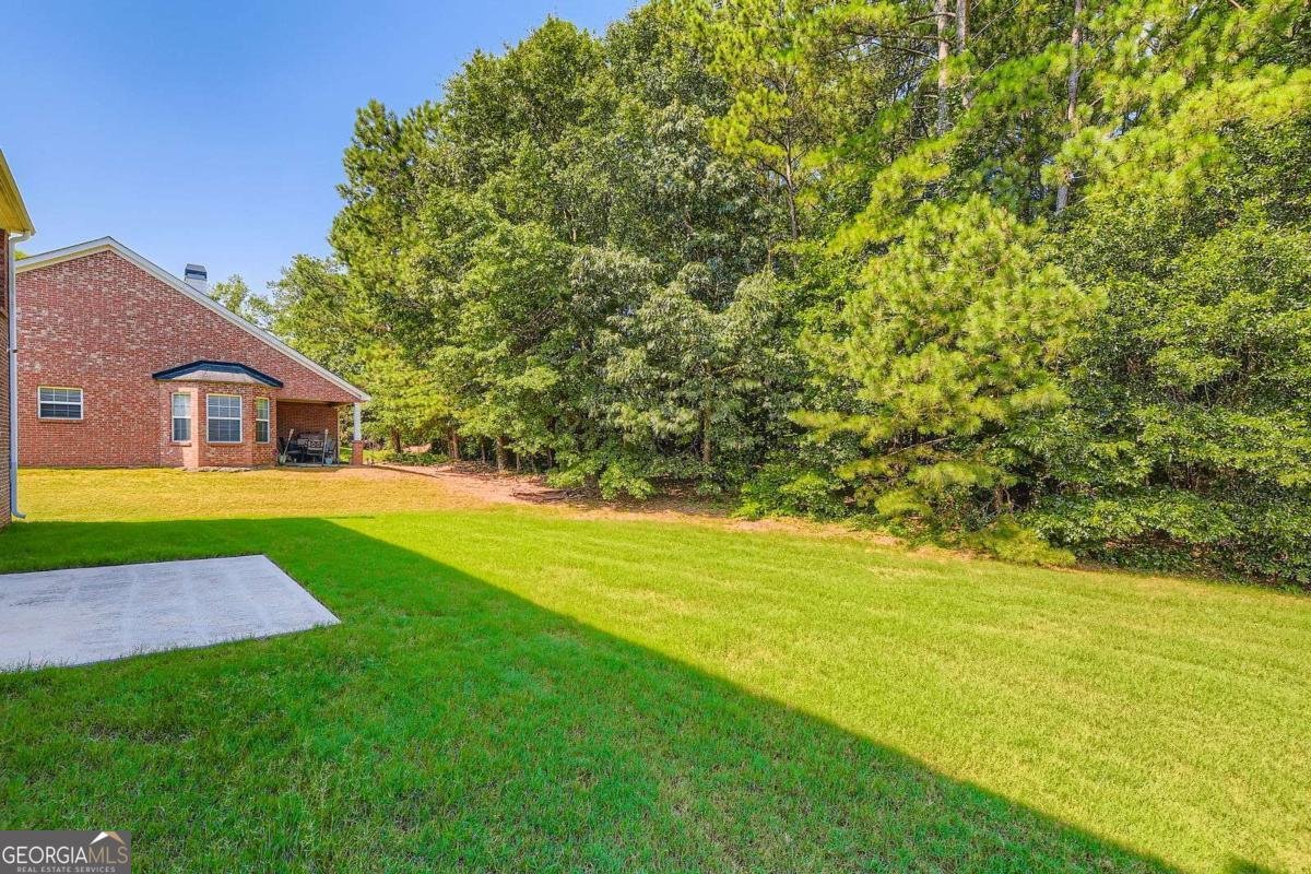 1309 Lower Falls Drive Mcdonough - 26