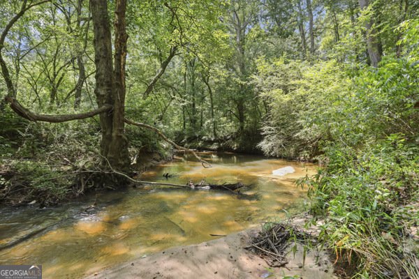 431 Grindstone Creek Drive Clarkesville - 32
