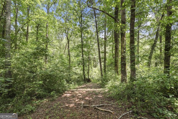 431 Grindstone Creek Drive Clarkesville - 38