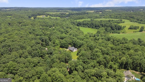 431 Grindstone Creek Drive Clarkesville - 41