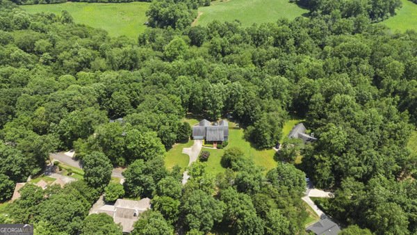431 Grindstone Creek Drive Clarkesville - 42