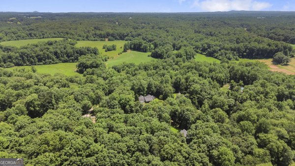 431 Grindstone Creek Drive Clarkesville - 43