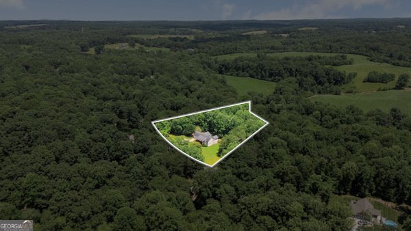 431 Grindstone Creek Drive Clarkesville - 45