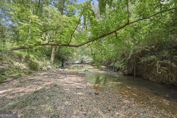 431 Grindstone Creek Drive Clarkesville - 47