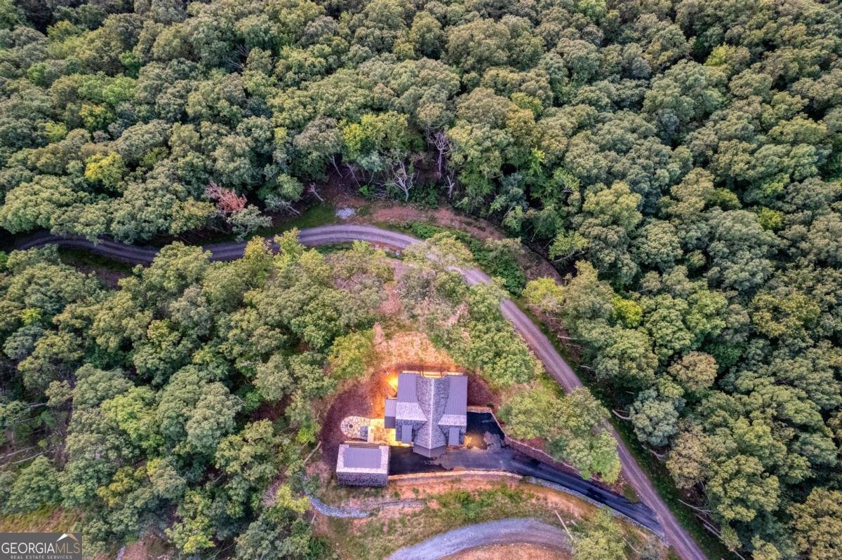 91 Kittatinny Drive Mineral Bluff - 2