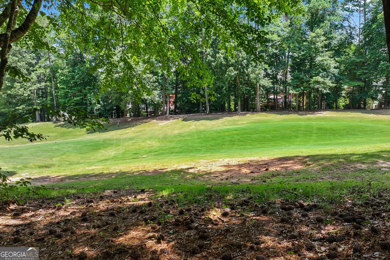 5041 Towne Lake Hills Woodstock - 6