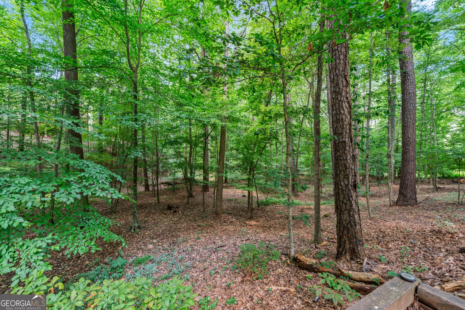 5041 Towne Lake Hills Woodstock - 7