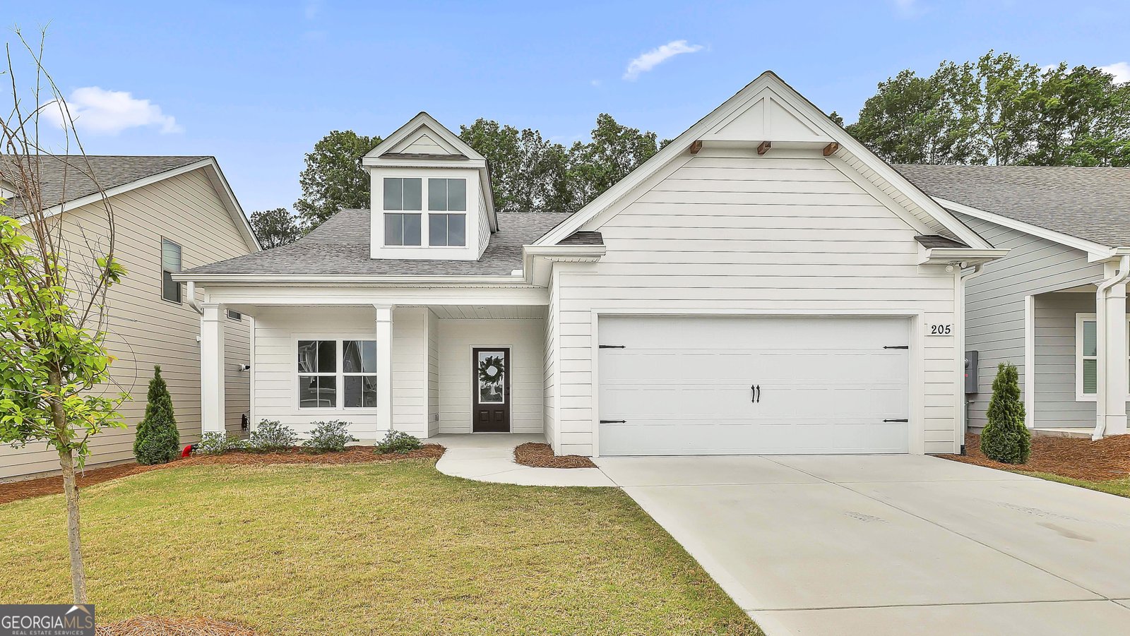 205 Farrell Creek Drive Senoia - 4