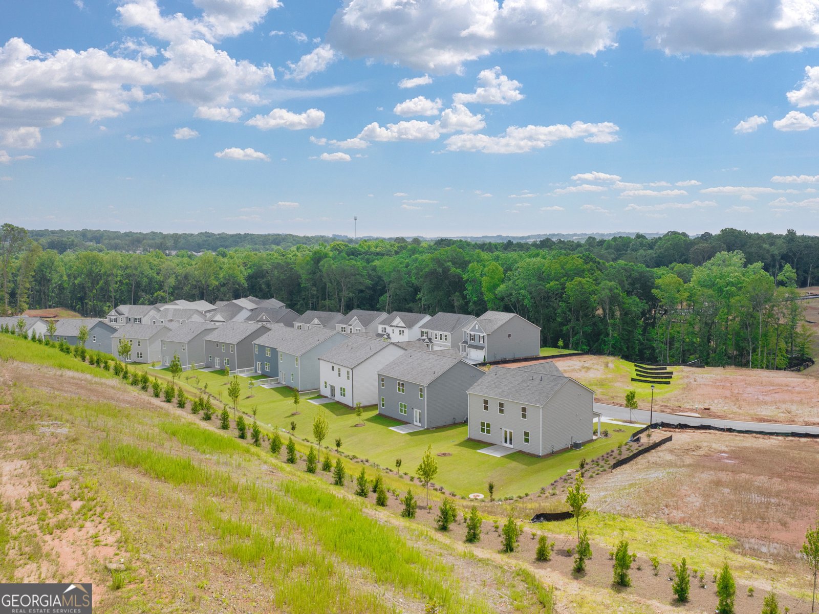 401 King Village Braselton - 76