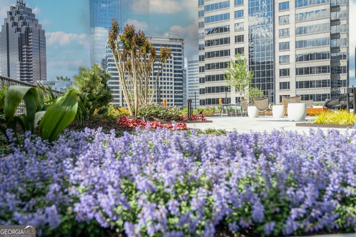 1080 Peachtree atlanta - 23