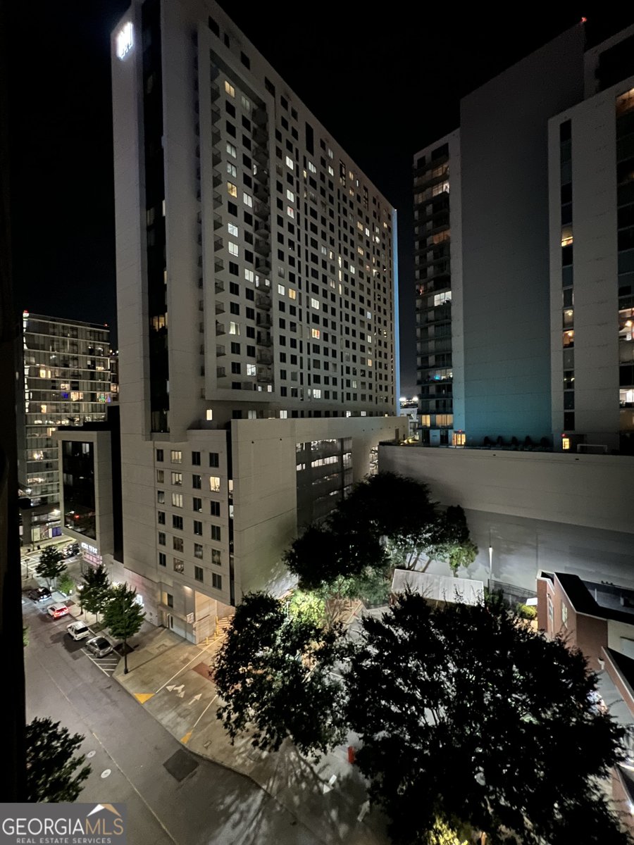 44 PEACHTREE Place Atlanta - 12