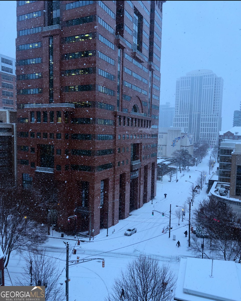 44 PEACHTREE Place Atlanta - 13