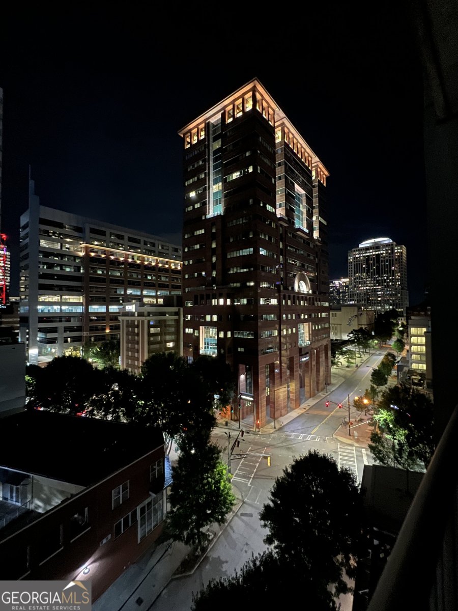 44 PEACHTREE Place Atlanta - 14
