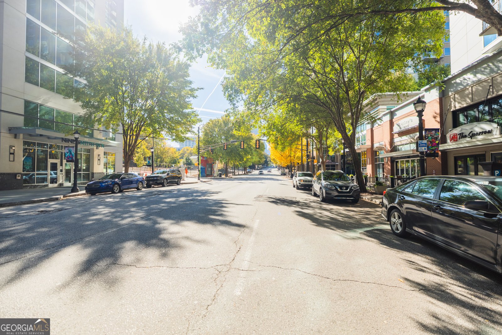 44 PEACHTREE Place Atlanta - 50