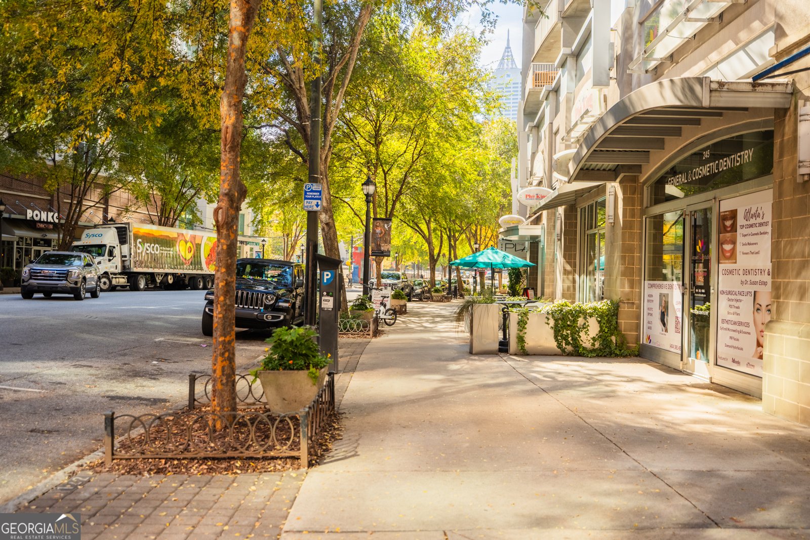 44 PEACHTREE Place Atlanta - 52