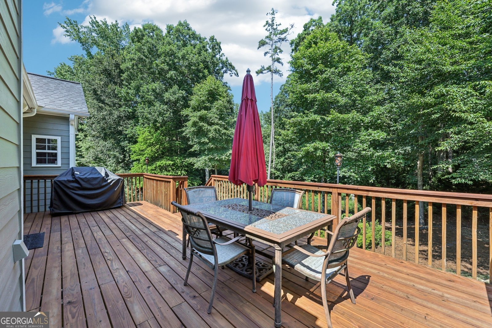 3301 Lost Meadows Lane Buford - 30