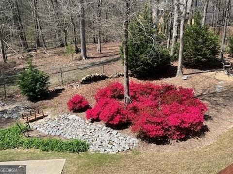 3301 Lost Meadows Lane Buford - 43