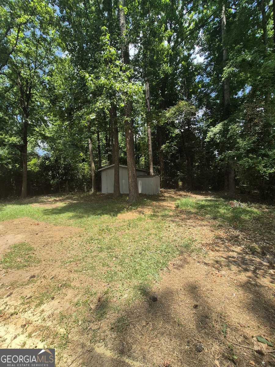 145 Knob Lick Drive Athens - 22