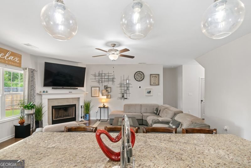 1177 Victorian Boulevard Forsyth - 16