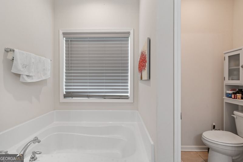 1177 Victorian Boulevard Forsyth - 30