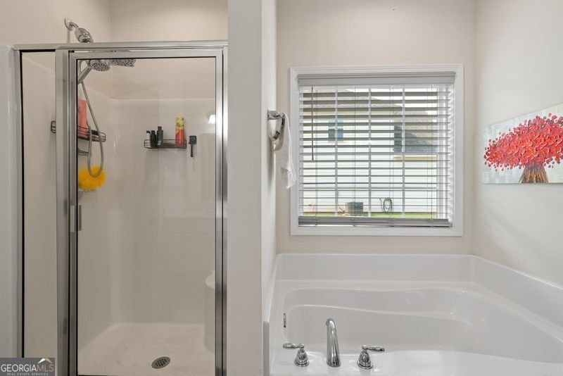1177 Victorian Boulevard Forsyth - 31