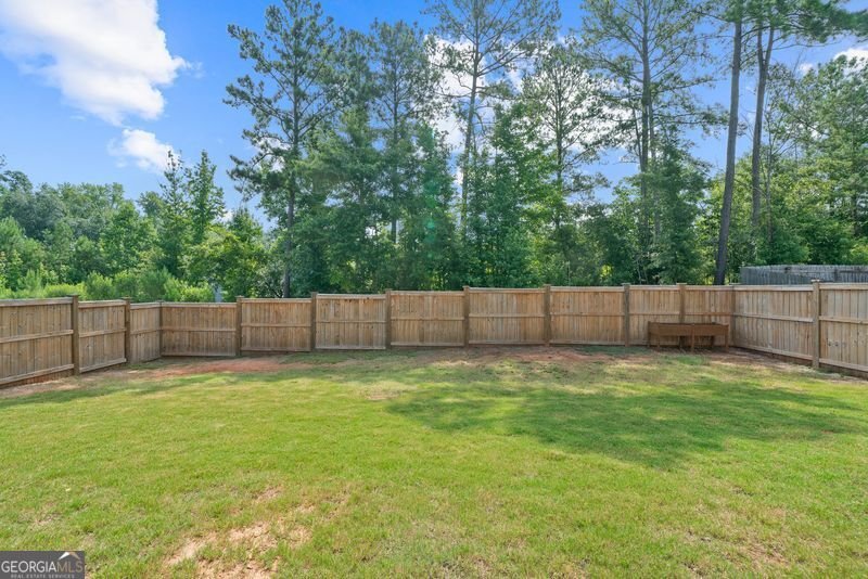 1177 Victorian Boulevard Forsyth - 46