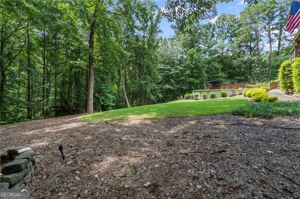 5497 Highway 81 Loganville - 32