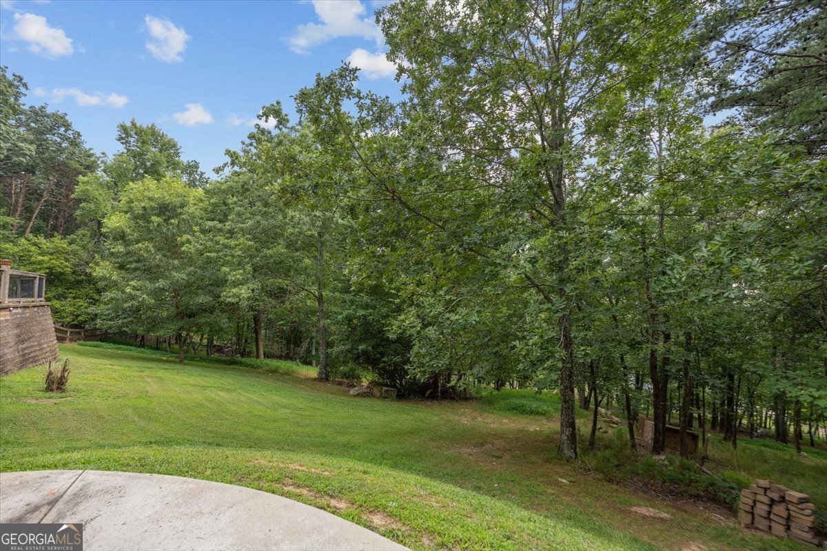 970 Salacoa Vista Jasper - 47