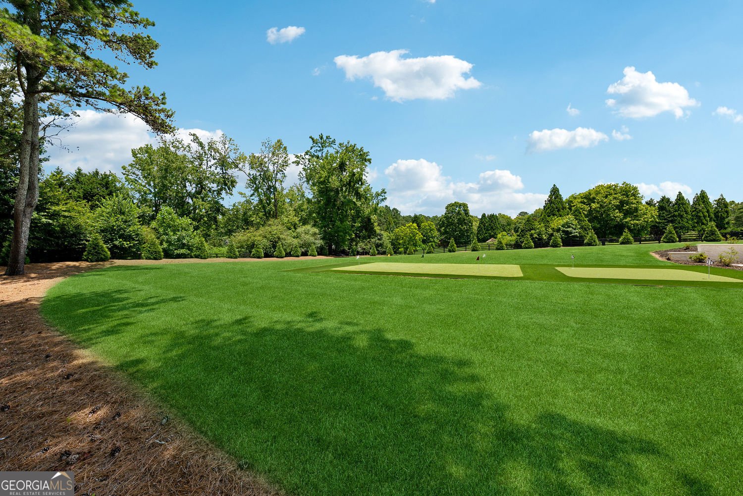 1793 Trinity Church Road Canton - 62