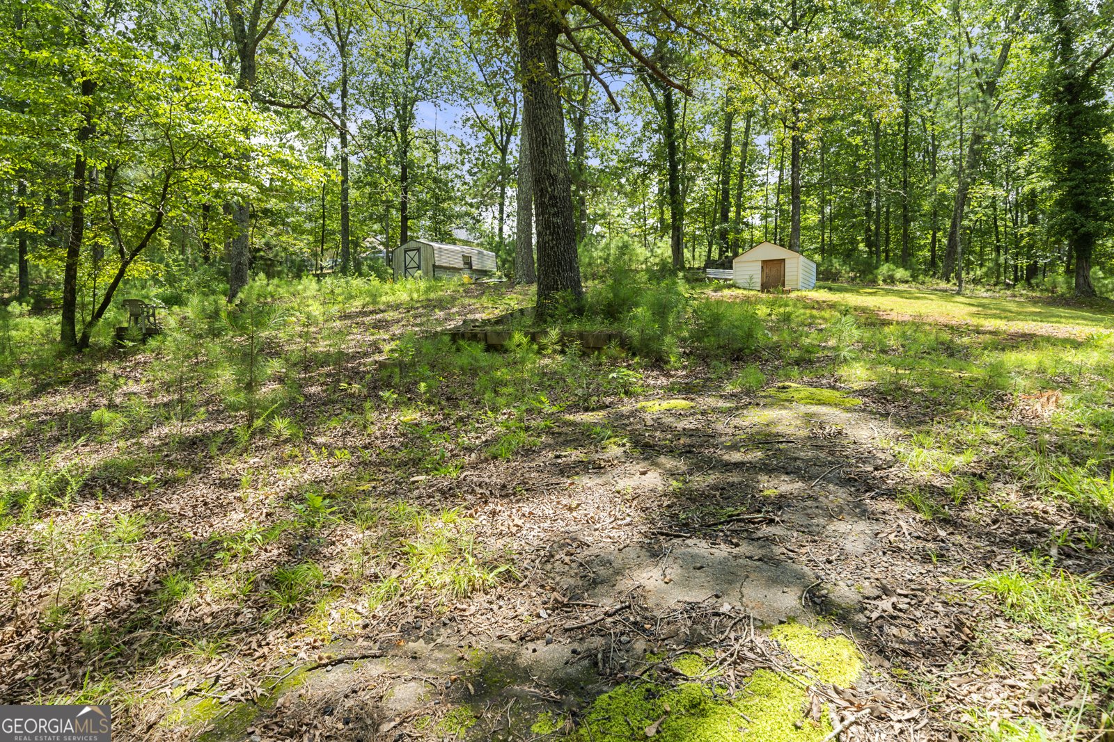 2400 Radford Road Lithia Springs - 31