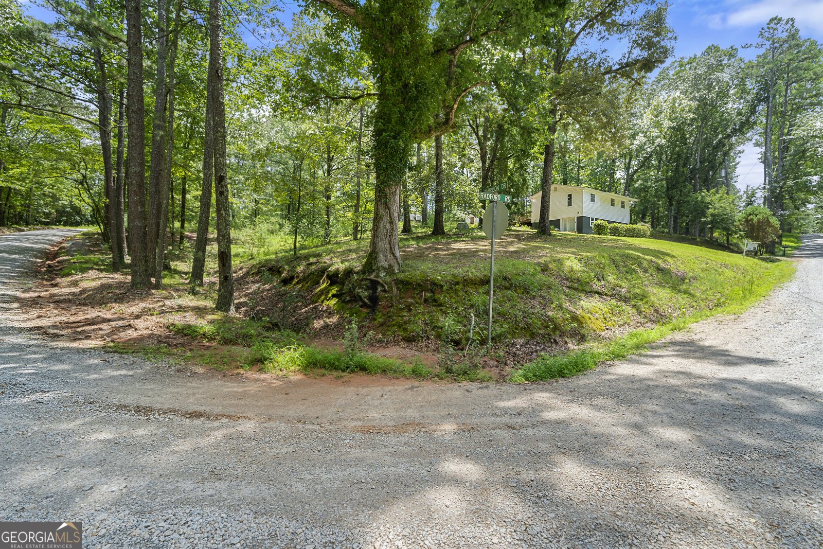 2400 Radford Road Lithia Springs - 4