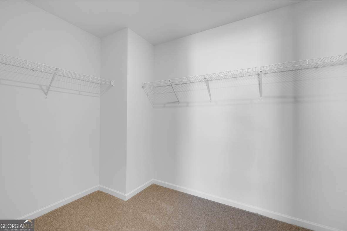608 Lobelia Drive Locust Grove - 29